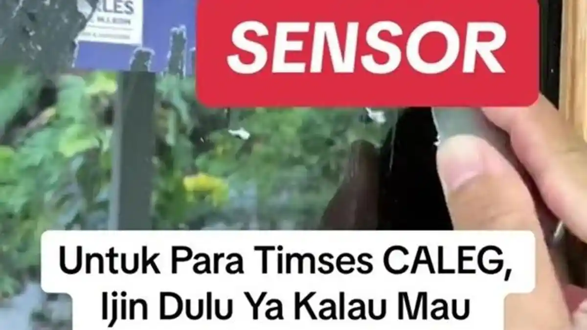 Viral! Gara-gara Copot Stiker Caleg, TikToker Lumajang Disomasi Berujung Minta Maaf 