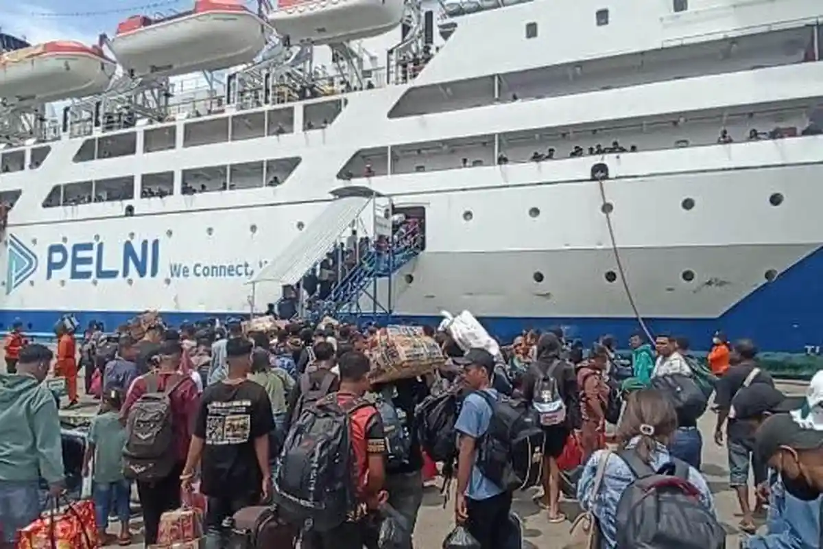 Jadwal Kapal Pelni KM Wilis 8 - 18 November 2025: Labuan Bajo, Bima, Waikelo, Waingapu, Ende