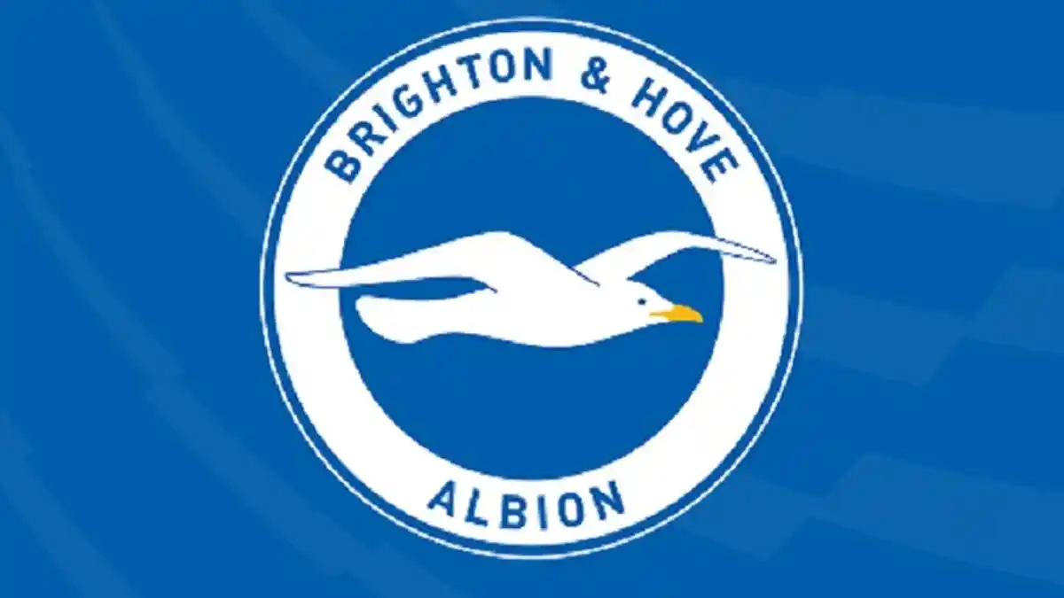 Chris Hughton Dapatkan Lawan Tanding Setara untuk Brighton & Hove Albion