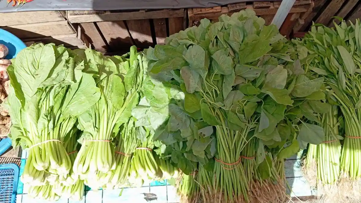 Harga Sayur Mayur di Ambon Masih Stabil, Cek Harga Kangkung hingga Sawi
