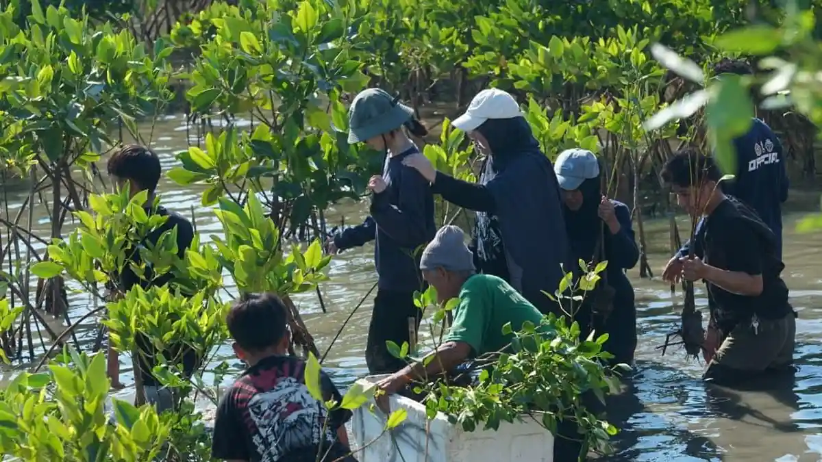 HUT Ke-6, Rappo Indonesia Libatkan 115 Relawan Bersihkan Pesisir Untia dan Tanam Mangrove - Tribun-timur.com
