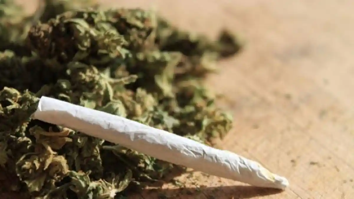 Terlibat Peredaran Ganja, Hafidz Mohon Keringanan Pasca Dituntut 12 Tahun Penjara
