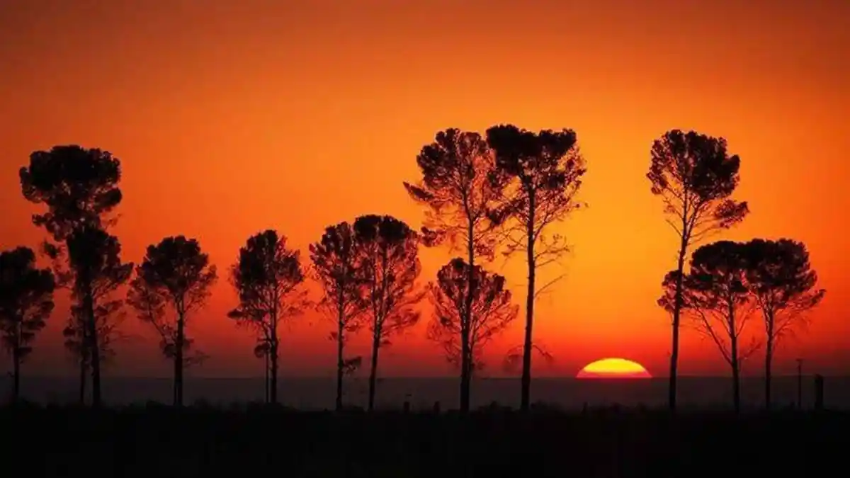 Kalender Jawa Weton Kamis Kliwon 21 Agustus 2025, Hindari Daging Sapi dan Rumah Sakit