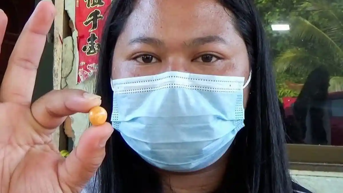 Beli Kerang Rp 32 Ribu untuk Makan Siang, Begitu Kerang Dibuka, Wanita Ini Kaya Mendadak