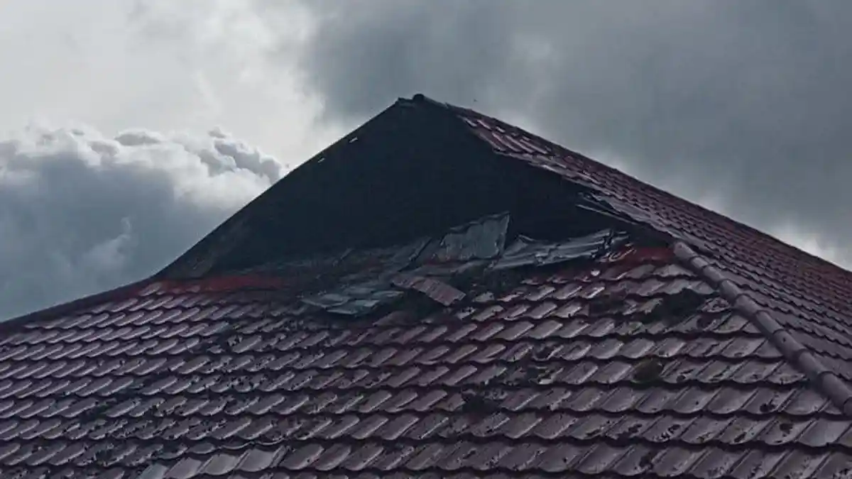 Kebakaran Lahan di Solok Merembet, Gedung SMKN 2 Lembah Gumanti Ikut Dilalap Api
