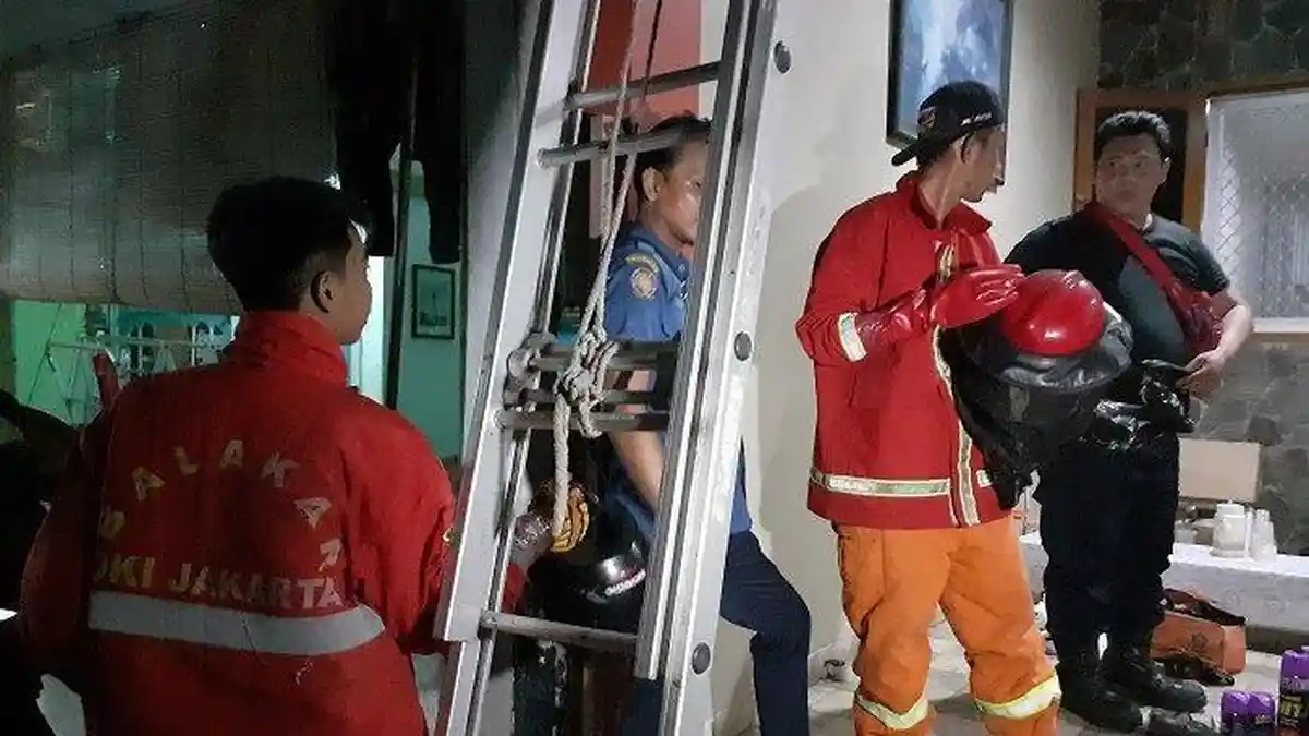 Berhari-hari Resah Dengar Desisan di Plafon Diduga Ular, Petugas Damkar Malah Temukan Hewan Ini!
