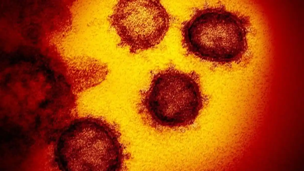 Gejala Terinfeksi Virus Corona Selain Demam dan Batuk, Ada Juga Berawal Dari Mual Hingga Diare
