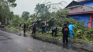Cuaca-ekstrem-mengakibatkan-1-pohon-yang-ada-di-Jalan-Pumorow-tumbang.jpg