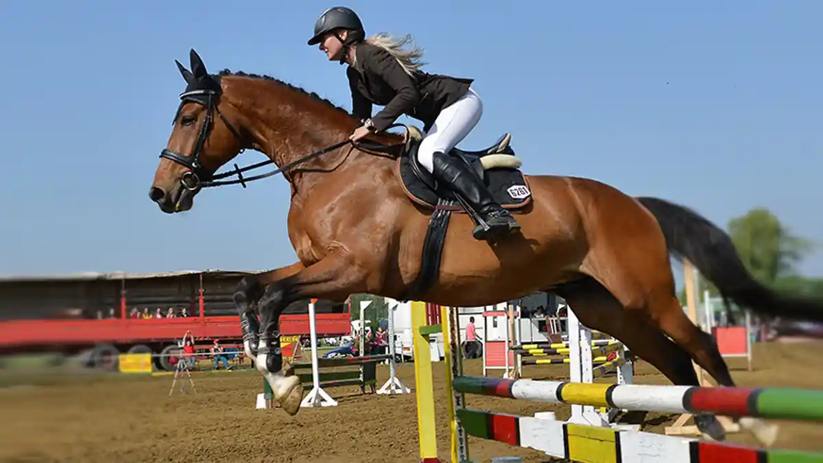 Seru di Jumping Test-Event Asian Games Sabtu Pagi di APM Equestrian