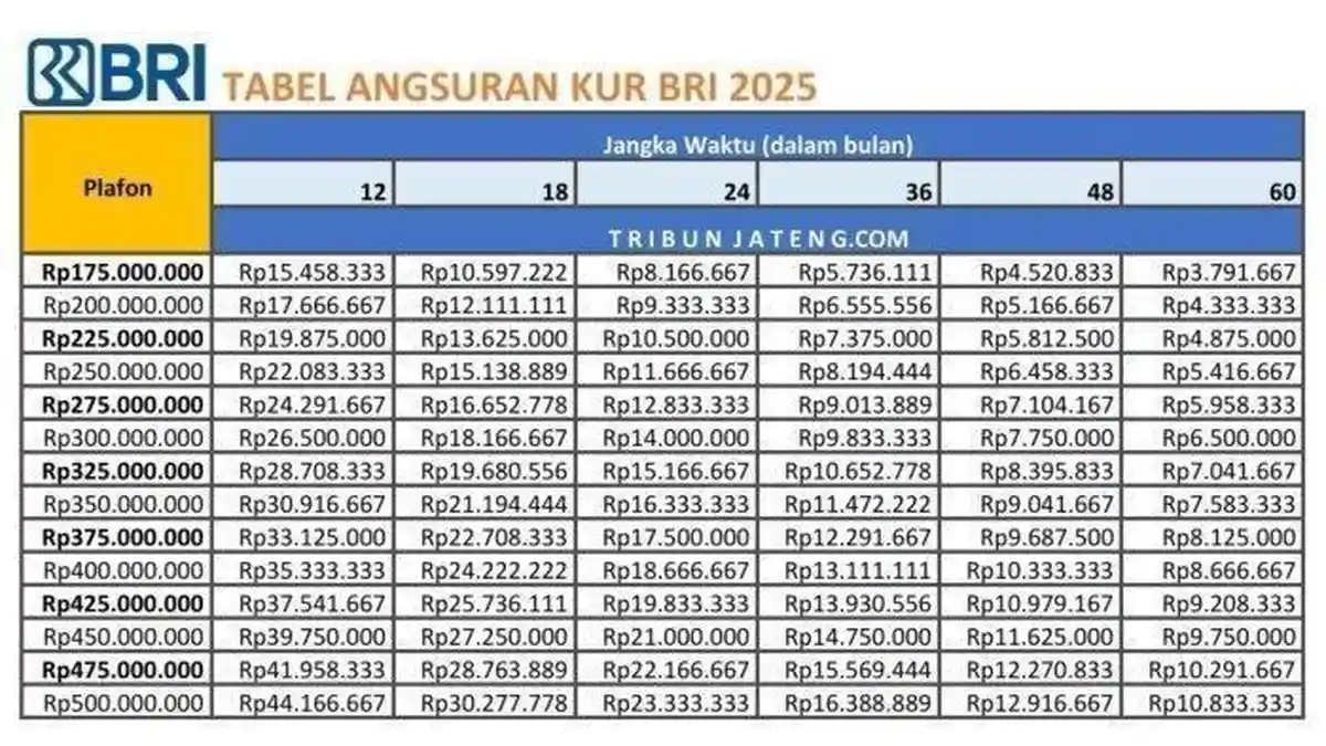 Cek Tabel KUR BRI 2025 Bisa Diajukan oleh Karyawan Swasta hingga PNS