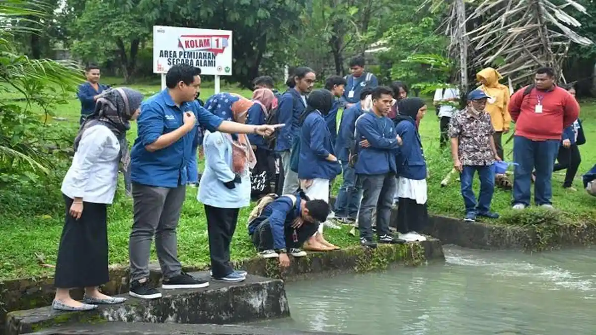 25 Mahasiswa Universitas Bung Hatta Belajar, di Area Konservasi Ikan Bilih PT Semen Padang