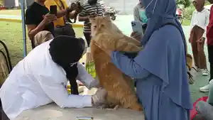 FOTO_Vaksinasi_Rabies_Massal_di_Suargaloka_Camari_Shelter_Pekanbaru_1.jpg