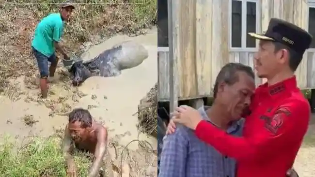 Viral Lansia Menangis Histeris saat Kerbaunya Mati di Kubangan, Bupati Aceh Barat Datang Membantu