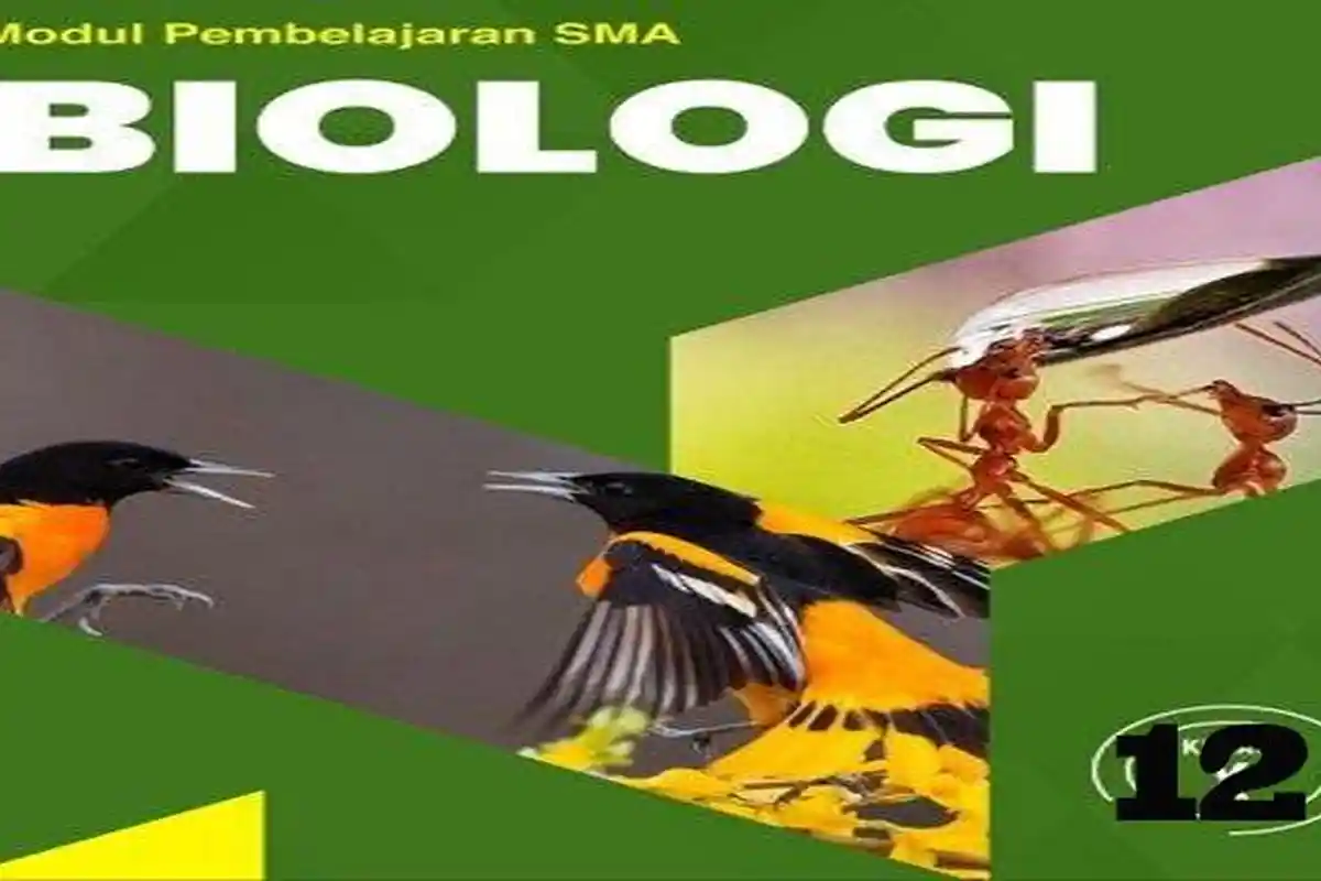 40 SOAL Pilihan dan Essay Biologi Kelas 12 Semester 1 Lengkap Kunci Jawaban Siap Hadapi Ujian 2025