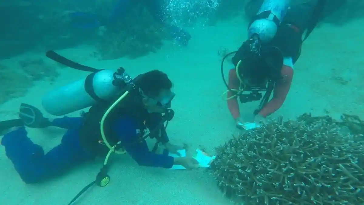 Program Konservasi Terumbu Karang di Pulau Gosong Aceh Dorong Kenaikan Pendapatan Nelayan