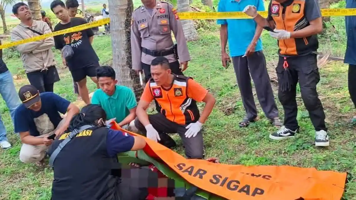 Jatuh dari Pohon Kelapa, Pria Lansia di Temon Kulon Progo Meninggal Dunia