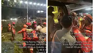 POHON-TUMBANG-Angin-kencang-membuat-Pohon-tumbang-di-kawasan-Lenteng-Agung.jpg