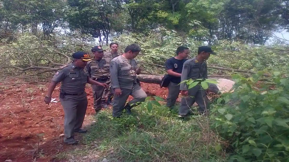 Salah Tebang Pohon, Dua Orang Ini Pasrah Saat Ditangkap Polisi di Garut