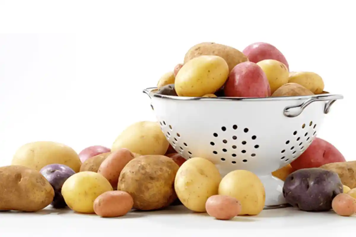 5 Tips Memilih Kentang yang Baik dan Tidak Beracun, Kenali Sebelum Membeli