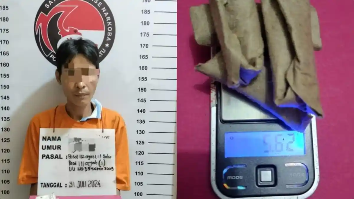 Julpan Ditangkap Satnarkoba Polres Labuhanbatu Saat Akan Edarkan Ganja