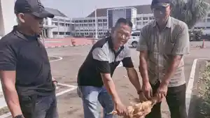 Warga-Semende-Gelar-Ritual-Tolak-Bala-Potong-2-Ayam-di-Pemkab-Muara-Enim-Pasca-OTT-KPK.jpg