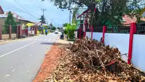 RAWAN-KEBAKARAN-Potret-tumpukan-ranting-pohon-di-depan-SDN-17-Dungingi-Jalan-Jeruk-Kelurahan.jpg