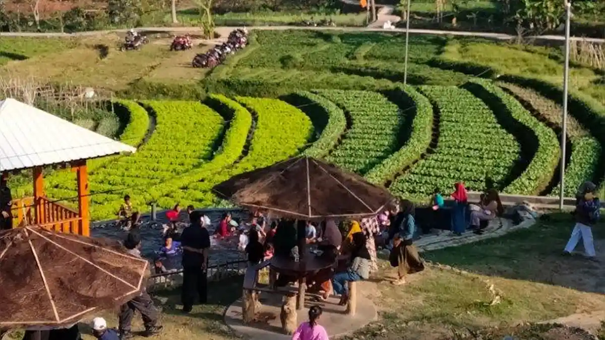 Agrowisata Pakuwon Kuningan Resmi Dibuka, Harga Tiket Murah, Bisa Basah-basahan Sepuasnya