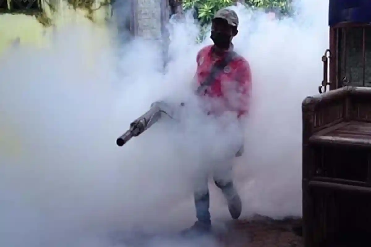 Gawat, Kasus DBD di Jatim Melonjak Hingga 977 Kasus