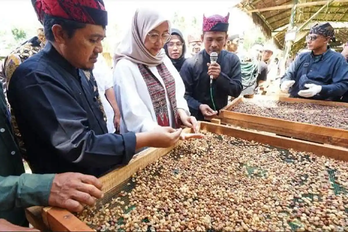 Pemkab Banyuwangi Daftarkan Paten Indikasi Geografis Kopi Robusta