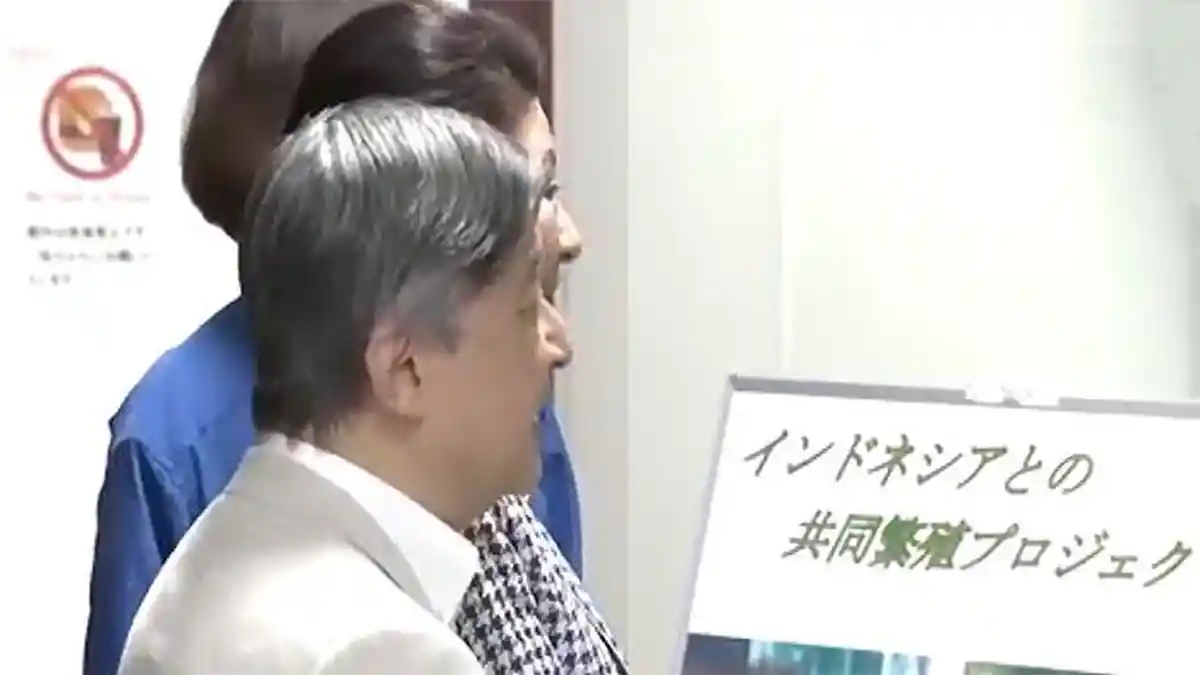 Permaisuri Masako Terpikat Jennifer, Orangutan Asal Kalimantan di Jepang: 'Lucu Sekali'