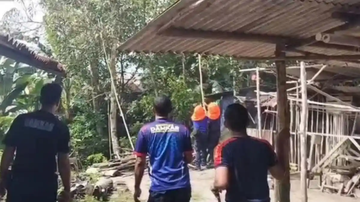 Resahkan Warga, Sarang Tawon Vespa di Belakang Rumah Berhasil Dievakuasi Damkar Lingga