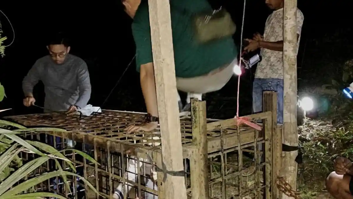 POPULER SUMBAR: Beruang Terkam Ternak Warga Solok Selatan dan Update Harga Kebutuhan Pokok