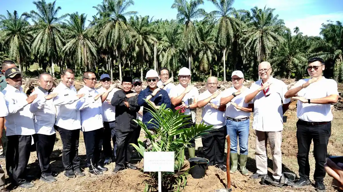 Tanam Sawit 107 Hektare Petani Langkat Dipercepat