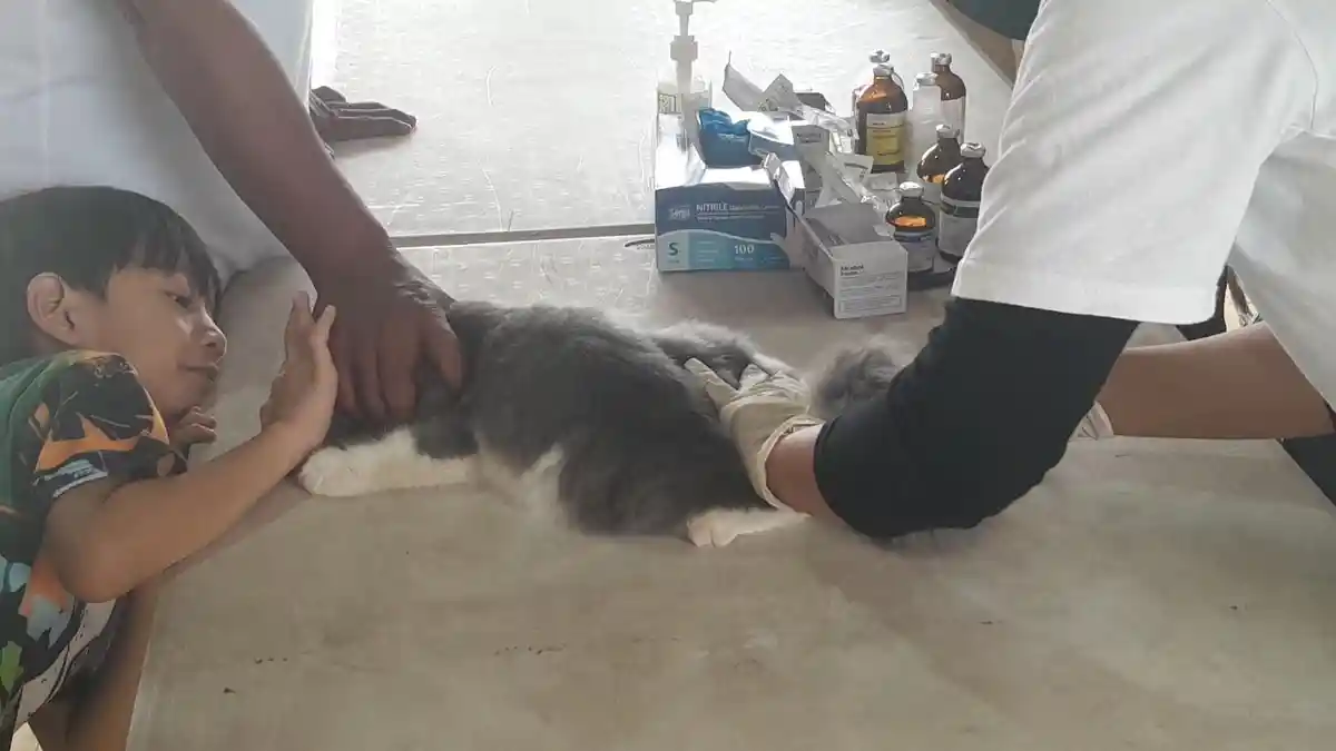 Hari Rabies Sedunia, Warga Ciamis Periksakan Hewan Peliharaan Kesayangan