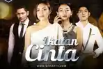sinopsis-ikatan-cinta-malam-ini-episode-52-rabu-25-november-2020-di-rcti-al-menemukan-andin.jpg