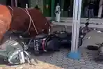 sapi-ngamuk-kroya-indramayu.jpg