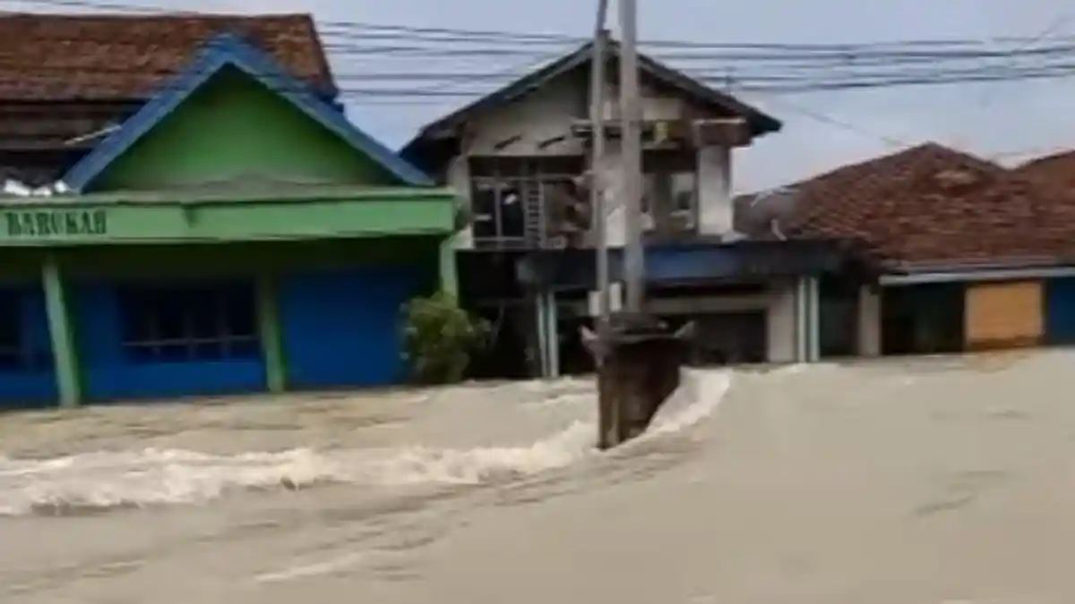 Update Banjir Karanganyar Demak, Arus Air Kian Deras, Jalur Pantura Seperti Lautan: Sangar Ombake