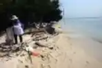 Rayakan Kemerdekaan RI Yayasan Kehati Bersih-bersih Pantai